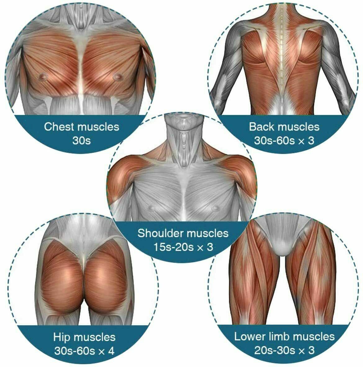 Recoverly Pro Gun + 4 Heads